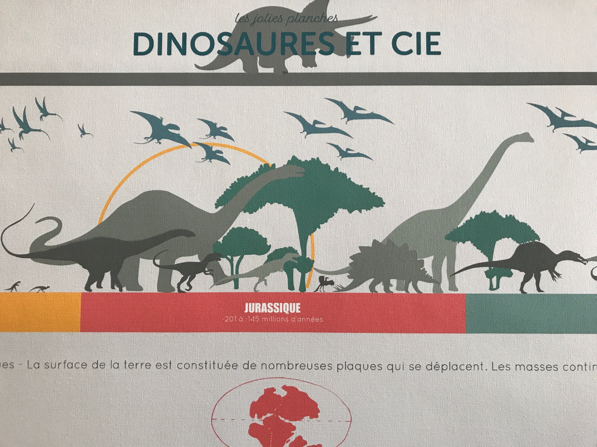 dinosaurs and co