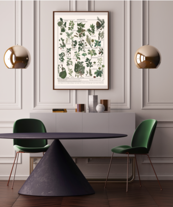 Affiche Arbres communs, illustrations de botanique issues de trésors de la Bibliothèque nationale de France.