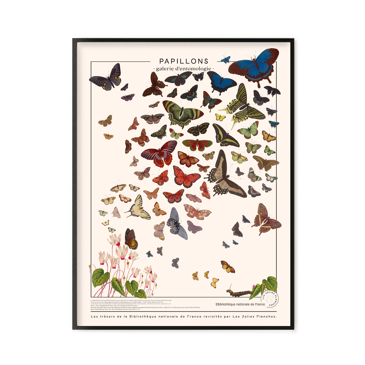 Tableau sur toile Pages album photo vintage avec papillons 