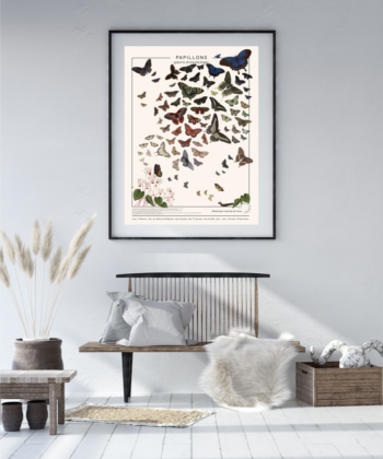 Affiche Papillons, planche décorative sur toile polycoton. impression d'art