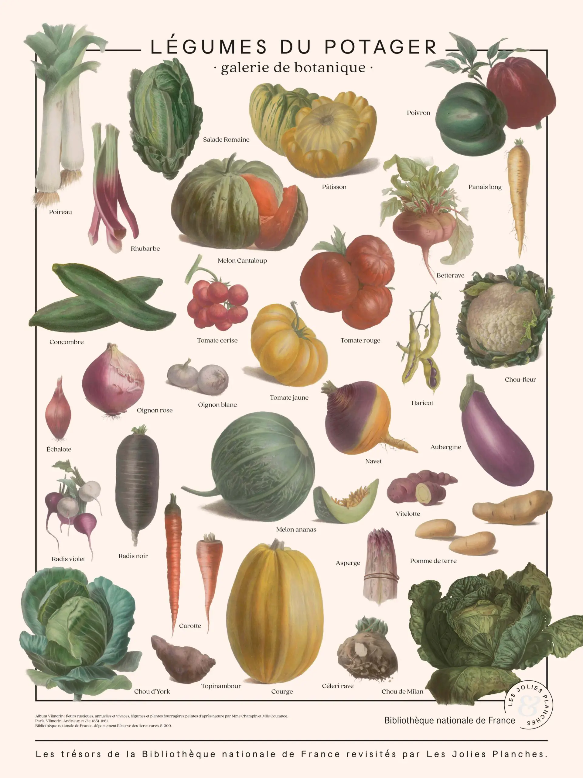 Légumes du potager - Les Jolies Planches
