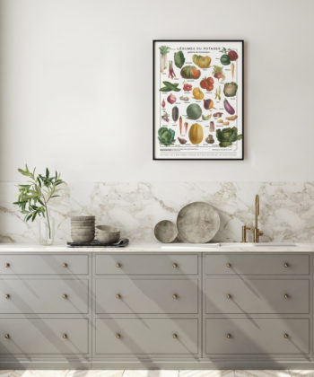 Affiche décorative illustrée de légumes anciens, des dessins issus de l'Album Vilmorin.