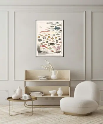 affiche poissons exotiques décoration salon blanc