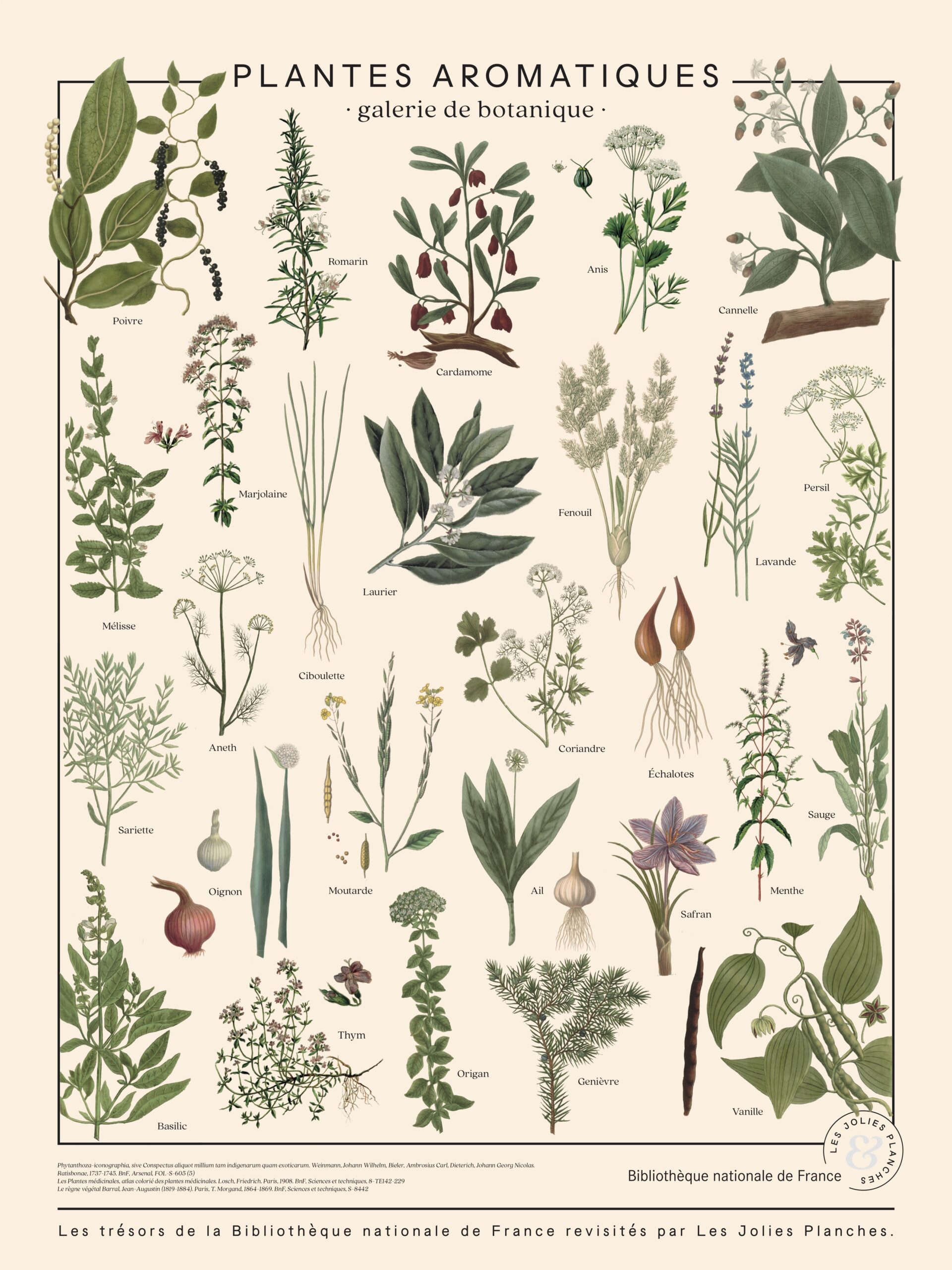 10 Mini Plaques En Bois Avec Craie Pour étiqueter Plantes, Herbes Aromatiques, Pots De Fleurs - Style Vintage, Réutilisables
