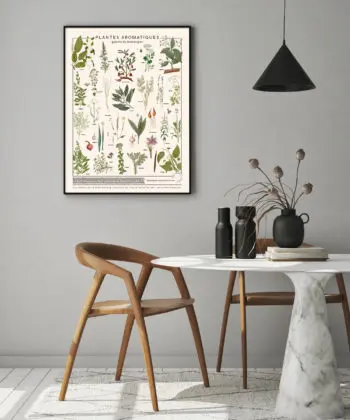 L'affiche Plante aromatiques sur planche polycoton, apporte une note décorative végétale et vintage à une salle à manger contemporaine