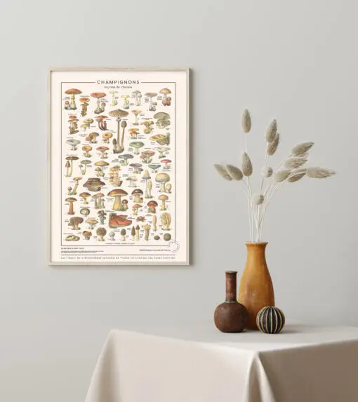 affiche Champignon, imprimée sur toile polycoton waterproof, pour une décoration murale vintage et Made in France.