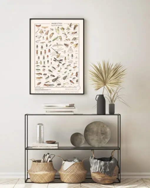 affiche vintage insectes