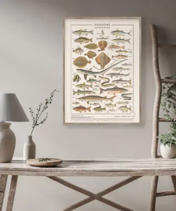 Poissons