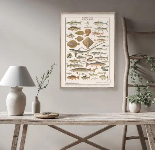 Poissons