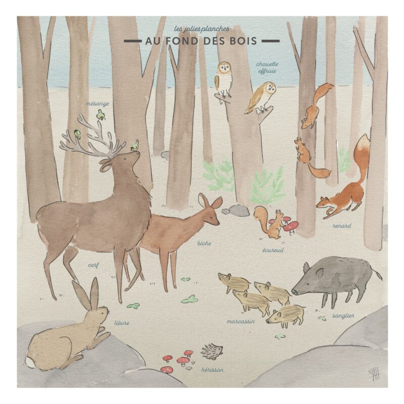 Affiche carrée "Au fond des bois" : des illustrations délicates aux couleurs douces d'animaux de la forêt.