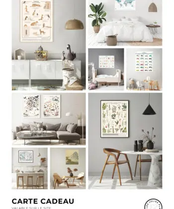 carte cadeau Les Jolies Planches