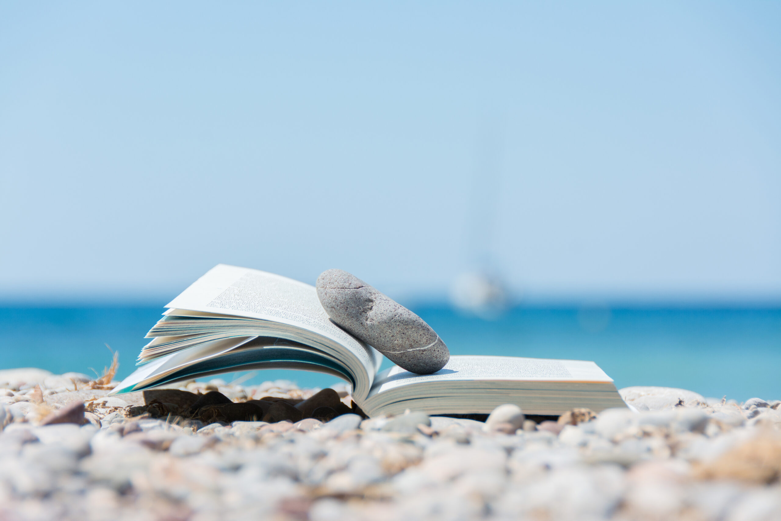 inspirations lectures pour l'été par les jollies planches