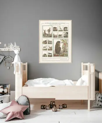 animals from Africa poster from BUFFON