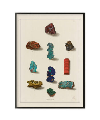 Cabinet de curiosités minéraux affiche impression d'art sur toile